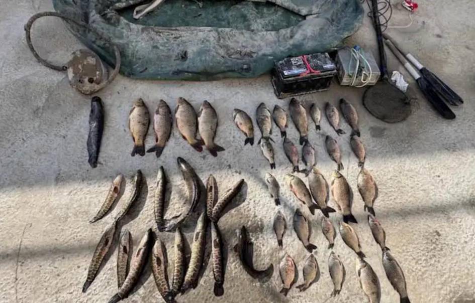 Sirdaryoda elektr qarmoq bilan baliq ovlaganlar tabiatga 500 mln so‘mdan ortiq zarar yetkazdi